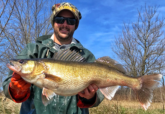 walleye