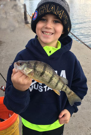 Chicago fishing, Midwest Report: Nearshore salmon/trout, bluegills